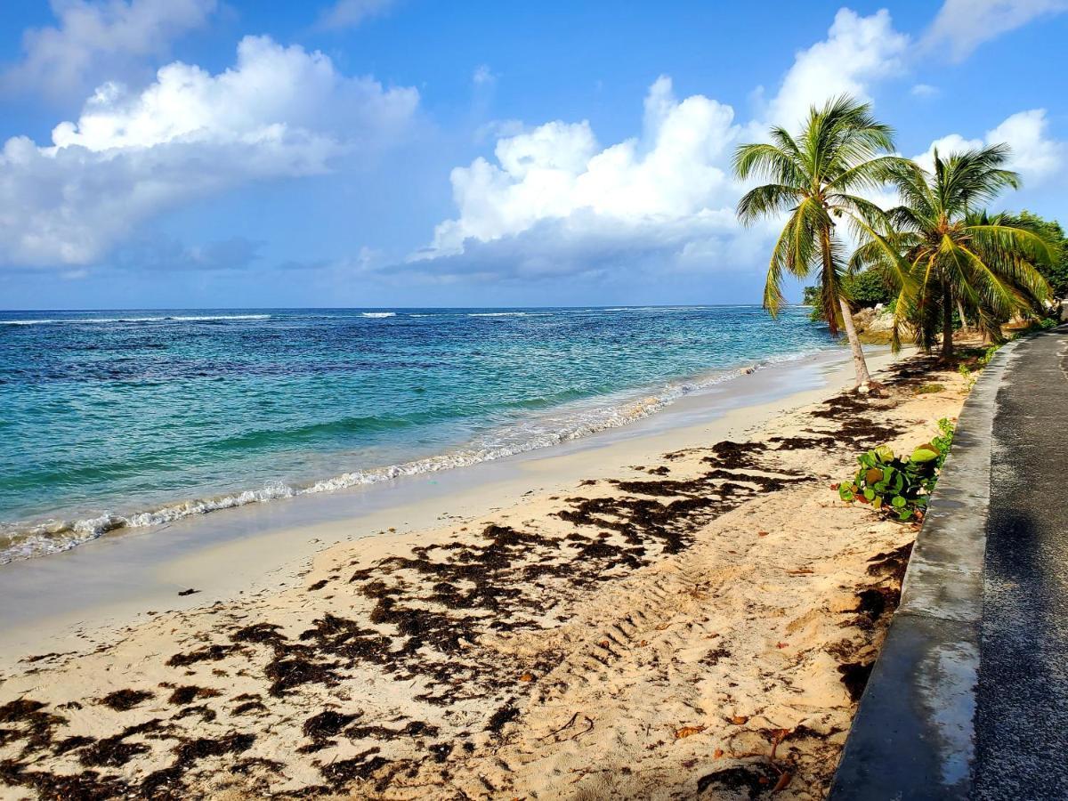 Villa L'Anjou Creole A Sainte Anne En Guadeloupe Avec Piscine Privee Et 2 Chambres Pour 4 Personnes Екстериор снимка
