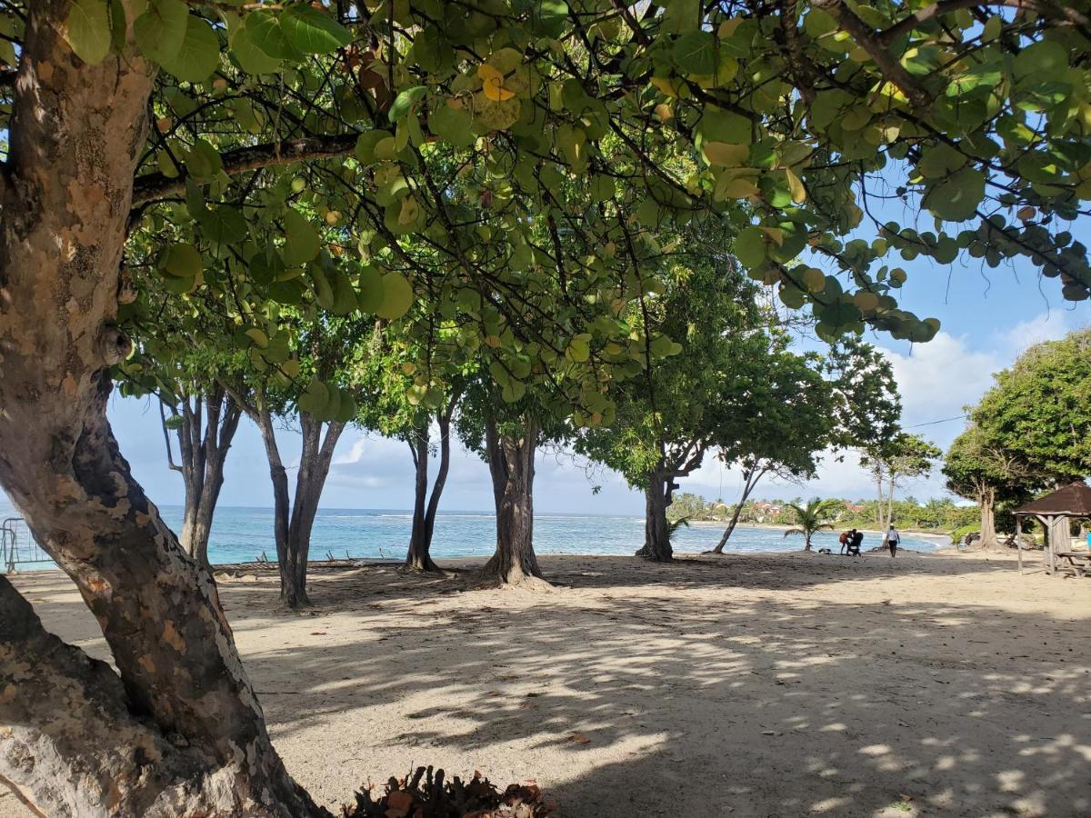 Villa L'Anjou Creole A Sainte Anne En Guadeloupe Avec Piscine Privee Et 2 Chambres Pour 4 Personnes Екстериор снимка