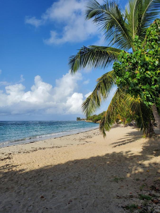 Villa L'Anjou Creole A Sainte Anne En Guadeloupe Avec Piscine Privee Et 2 Chambres Pour 4 Personnes Екстериор снимка