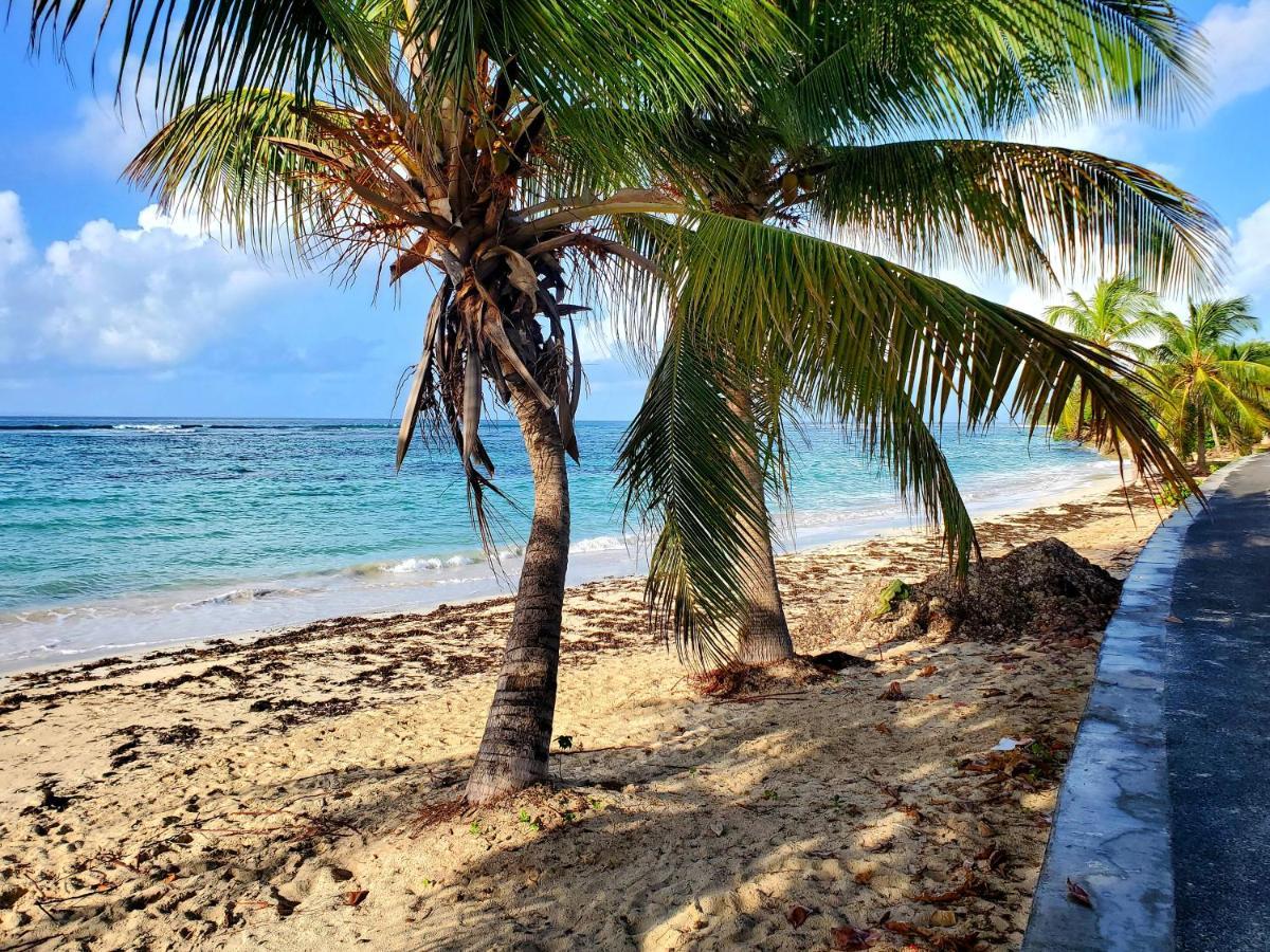 Villa L'Anjou Creole A Sainte Anne En Guadeloupe Avec Piscine Privee Et 2 Chambres Pour 4 Personnes Екстериор снимка