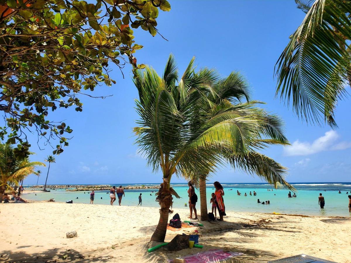 Villa L'Anjou Creole A Sainte Anne En Guadeloupe Avec Piscine Privee Et 2 Chambres Pour 4 Personnes Екстериор снимка