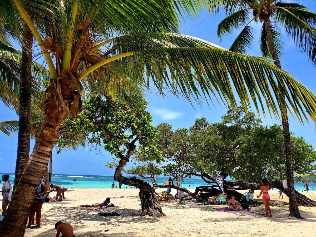 Villa L'Anjou Creole A Sainte Anne En Guadeloupe Avec Piscine Privee Et 2 Chambres Pour 4 Personnes Екстериор снимка