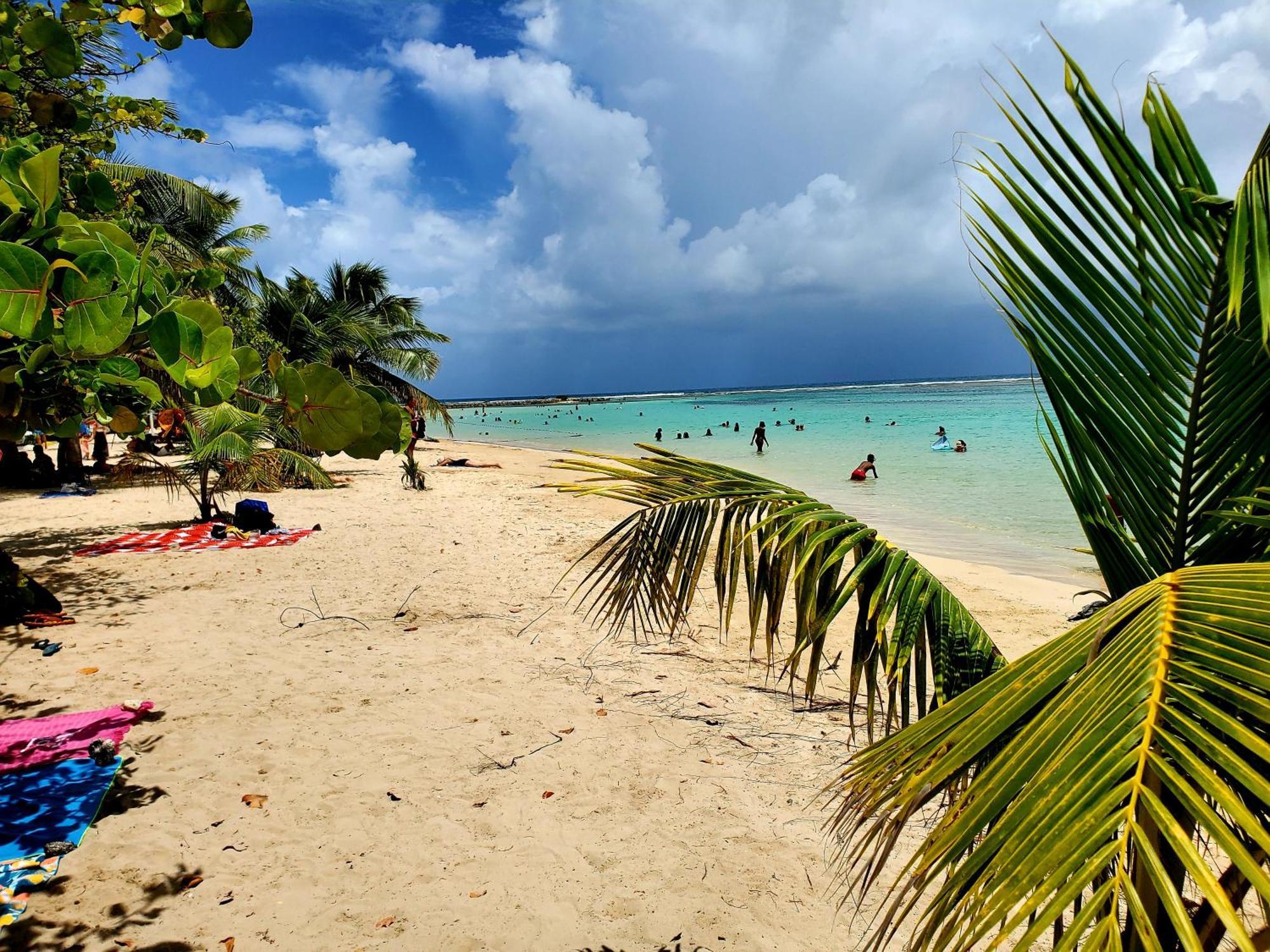 Villa L'Anjou Creole A Sainte Anne En Guadeloupe Avec Piscine Privee Et 2 Chambres Pour 4 Personnes Екстериор снимка